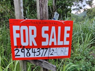 Residential lot For Sale in Red Hills, Kingston / St. Andrew Jamaica | [9]