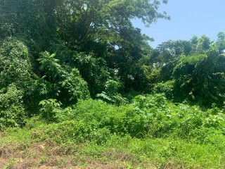 Residential lot For Sale in LUANA PEN BLACK RIVER, St. Elizabeth Jamaica | [9]