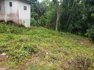 Residential lot For Sale in Time and Patience, St. Catherine Jamaica | [3]