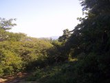 Resort/vacation property For Sale in Round Hill, Hanover Jamaica | [6]