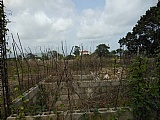 House For Sale in Mandeville Manchester, Manchester Jamaica | [4]