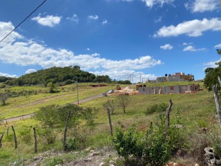 Land For Sale in Daleys grove, Manchester, Jamaica