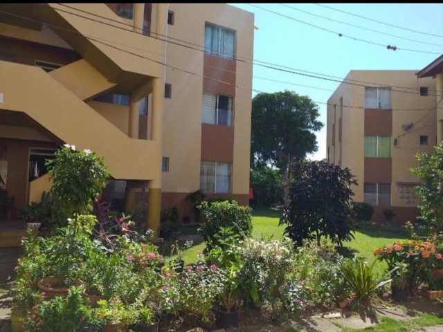 1 bed Apartment For Rent - Kingston 5, Kingston / St. Andrew, Jamaica