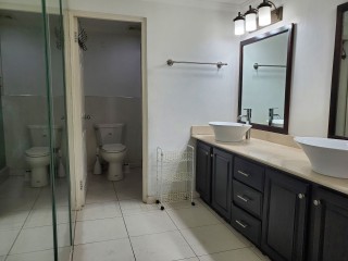 Apartment For Rent in New Kingston, Kingston / St. Andrew Jamaica | [10]