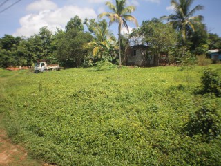 Residential lot For Sale - Middle Quarters, St. Elizabeth, Jamaica