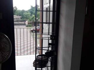 Apartment For Rent in Meadowbrook, Kingston / St. Andrew Jamaica | [5]