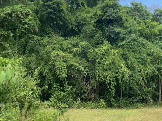 Land For Sale in Montego Bay, St. James, Jamaica