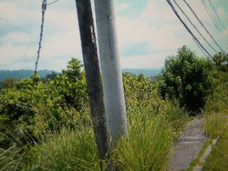 Residential lot For Sale in Porto Bello Heights, St. James Jamaica | [3]
