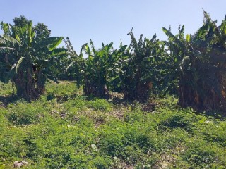 Residential lot For Sale in Phamphery, St. Thomas, Jamaica