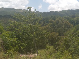 Residential lot For Sale – Grierfield Moneague, St. Ann, Jamaica 
Withdrawn
