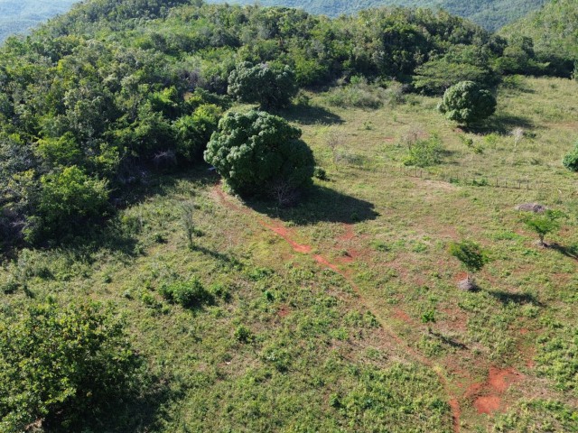 Land For Sale in Dover, St. Catherine Jamaica | [7]