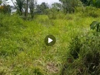 Residential lot For Sale in Wallens, St. Catherine Jamaica | [7]