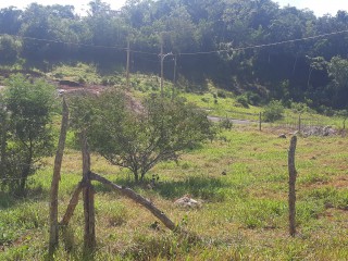 Residential lot For Sale in Newport, Manchester Jamaica | [6]