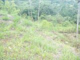 Residential lot For Sale in Mandeville, Manchester Jamaica | [5]