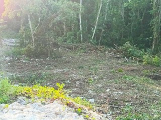 Land For Sale in Lot 525 Orchard Gardens, Hanover Jamaica | [4]