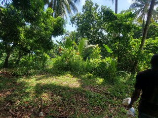 Commercial/farm land For Sale in Black hill, Portland Jamaica | [1]