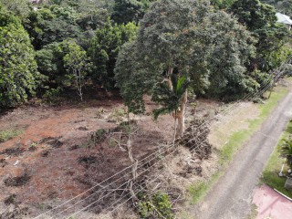 Residential lot For Sale in Pioria, Manchester Jamaica | [11]
