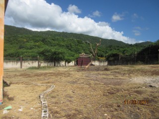 Residential lot For Sale in Alligator Pond, Manchester Jamaica | [8]
