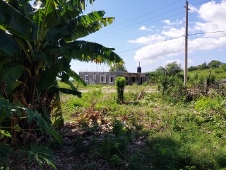 Residential lot For Sale in Yallahs, St. Thomas, Jamaica