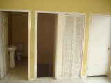 House For Rent in Red Hills, Kingston / St. Andrew Jamaica | [5]