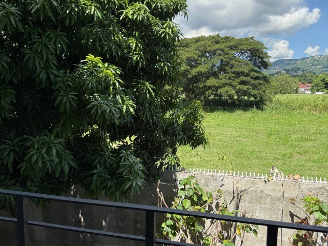 Apartment For Rent in Kingston 8, Kingston / St. Andrew Jamaica | [11]