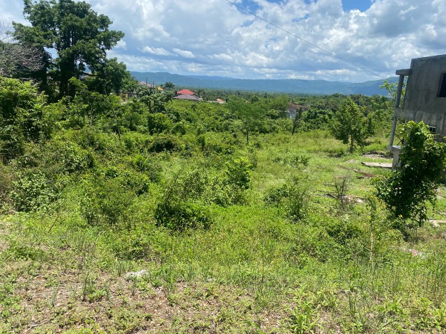 Residential lot For Sale in Santa Cruz, St. Elizabeth Jamaica | [3]