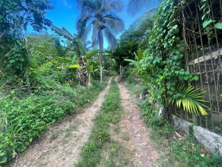 1 bed Commercial/farm land For Sale in Ewarton, St. Catherine, Jamaica