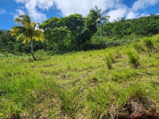 Residential lot For Sale – Linstead, St. Catherine, Jamaica