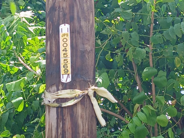 Land For Sale in Linstead, St. Catherine Jamaica | [2]