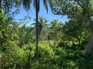 Land For Sale in Guys Hill, St. Mary, Jamaica