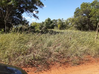 Residential lot For Sale in Nain, St. Elizabeth Jamaica | [4]