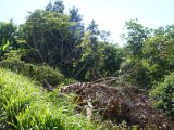 Residential lot For Sale in Porto Bello Heights, St. James Jamaica | [3]