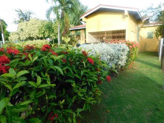 Commercial building For Sale in Windsor Avenue, Kingston / St. Andrew Jamaica | [6]