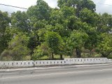 Residential lot For Sale in Barbican Road Corner of Garth Road Lot, Kingston / St. Andrew Jamaica | [1]