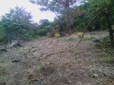 Residential lot For Sale in Springfield main road, Westmoreland Jamaica | [4]