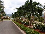 House For Rent in Richmond Development, St. Ann Jamaica | [10]