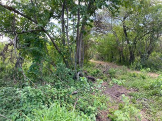 Residential lot For Sale in Bushy Park, St. Catherine, Jamaica