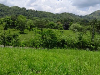 Land For Sale in Seaford Town, Westmoreland Jamaica | [10]