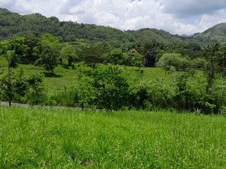 Land For Sale in Seaford Town, Westmoreland, Jamaica