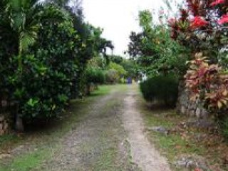 House For Sale in Moneague, St. Ann Jamaica | [2]
