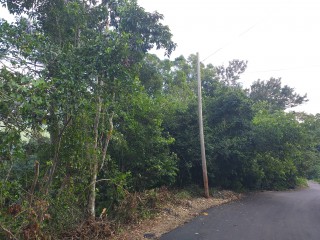 Residential lot For Sale in Sherbourne heights, Kingston / St. Andrew Jamaica | [1]