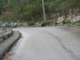 Residential lot For Sale in Red Hills, Kingston / St. Andrew Jamaica | [7]