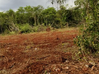 Commercial/farm land For Sale in Trelawny, Trelawny Jamaica | [1]