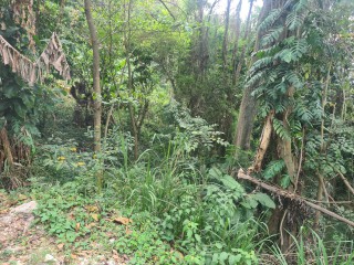 Residential lot For Sale in Jacks Hill, Kingston / St. Andrew, Jamaica