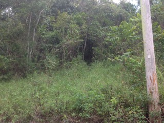 Residential lot For Sale in Mile Gully, Manchester Jamaica | [2]