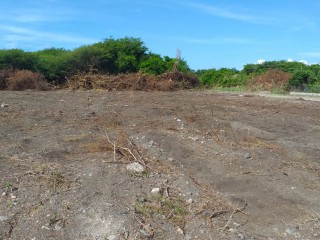 Residential lot For Sale in Albion Estate, St. Thomas Jamaica | [3]