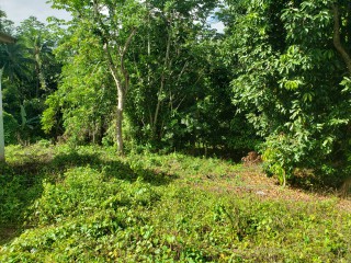Residential lot For Sale in Time and Patience, St. Catherine Jamaica | [4]