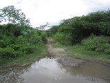 Commercial/farm land For Sale in Rhymesbury, Clarendon Jamaica | [5]