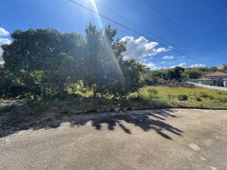 Residential lot For Sale in Cedar Grove, Manchester, Jamaica