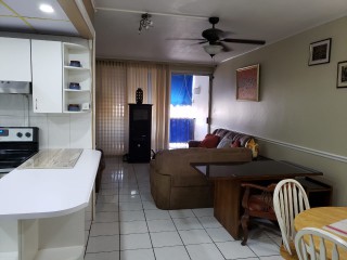 Apartment For Rent in NEW KINGSTON, Kingston / St. Andrew Jamaica | [10]
